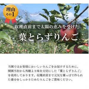 【南信州あじさい農園】葉とらずりんご(シナノゴールド)約10kg【1594097】