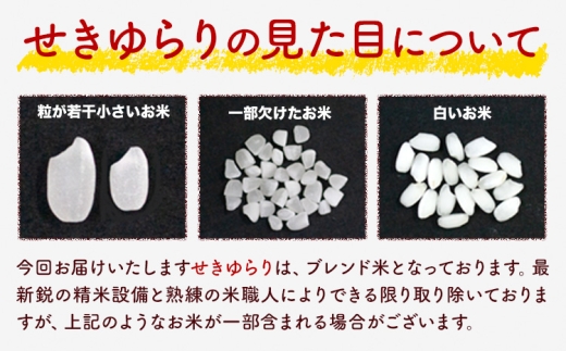 米 南関町 せきゆらり 白米 5kg《7-14日以内に出荷予定(土日祝除く)》熊本県産 国産 白米 こめ コメ 5キロ