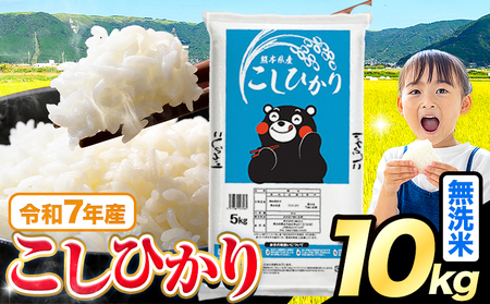 無洗米 令和7年産 こしひかり 10kg 無洗《7-14日以内に出荷予定(土日祝除く)》