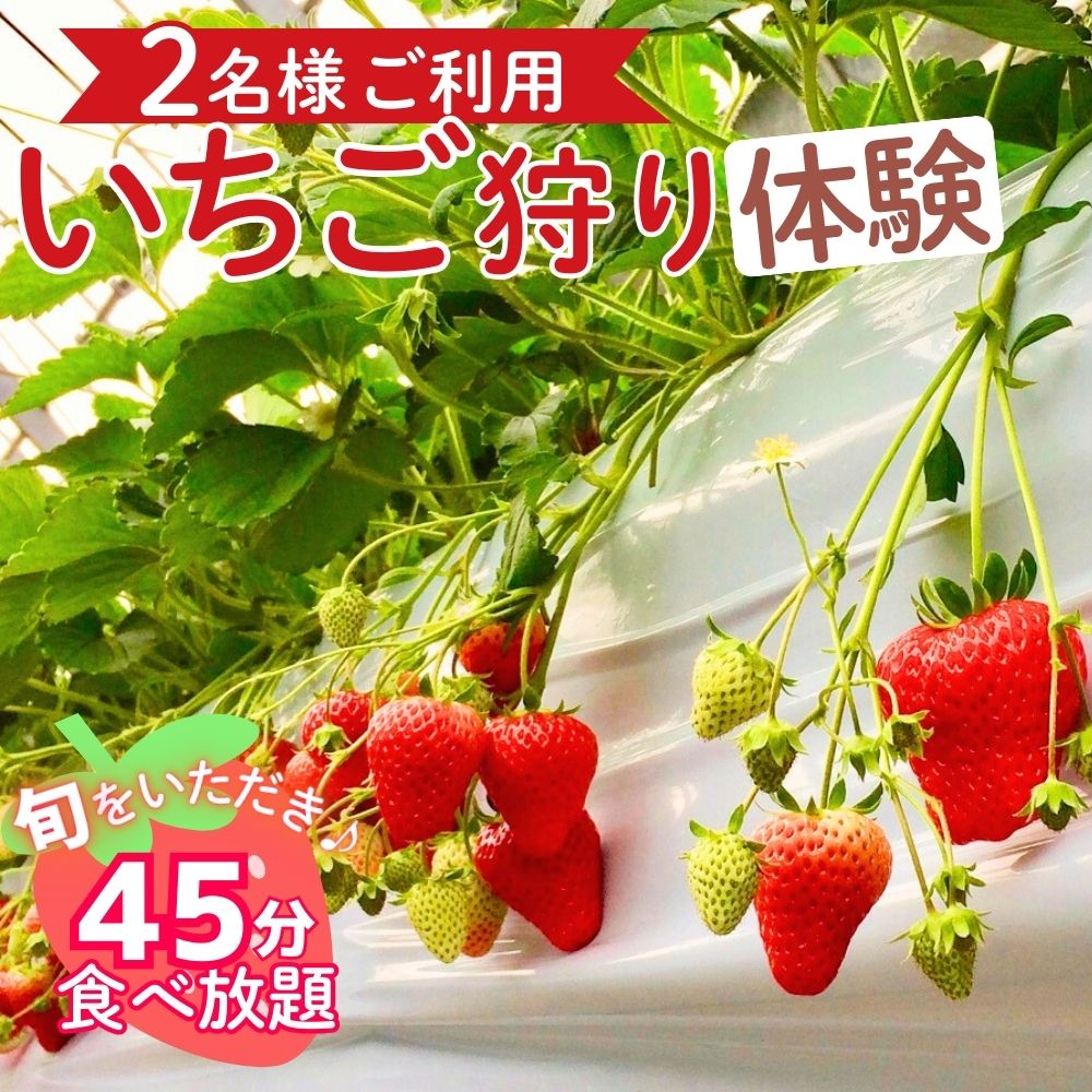 【ふるさと納税】四日市で旬の味を体験！「いちご狩り」ペアご利用（申込期日 令和8年3月31日まで） 45分間食べ放題 愛成ベリー【章姫 あきひめ 紅ほっぺ 苺狩り】