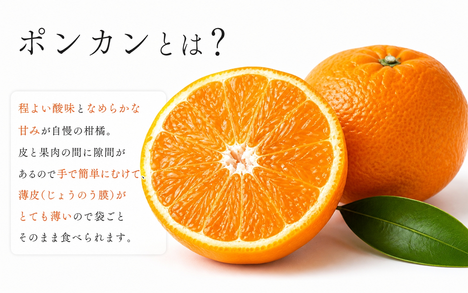 紀州和歌山有田産ポンカン 5kg ※2027年1月下旬頃～2027年2月上旬頃に順次発送（お届け日指定不可）/ ぽんかん みかん 果物 みかん 柑橘 フルーツ 和歌山県 ミカン【uot722】