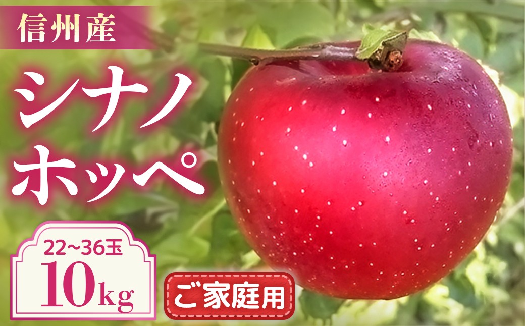 
                  【2026年10月発送予定】りんご　シナノホッペ　ご家庭用 約10kg（22-36玉）　林檎｜リンゴ｜果物｜フルーツ｜長野県産｜南信州
                