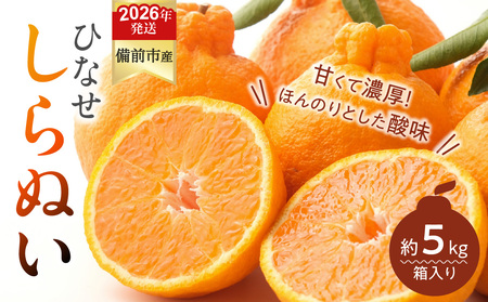 みかん ひなせしらぬい 約5kg（2026年3月頃発送）【果物 フルーツ みかん ミカン ひなせ しらぬい】