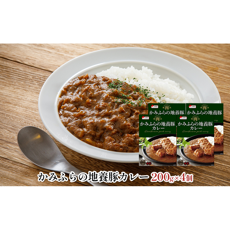 缶ビール(SORACHI1984)8缶＆地養豚カレー4箱セット 北海道 上富良野町 ソラチ1984 地ビール ビール カレー 缶 サッポロビール サッポロ ギフト_イメージ3