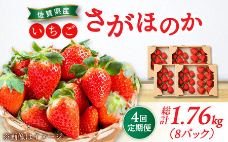 【2026年発送分 先行予約】【全4回定期便】さがほのか 220g×2パック×4回 / 佐賀県 / 鐘ヶ江農園[41ASBK004]