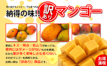訳あり品！！大宜味村産マンゴー【2Kg・白箱】2024年発送