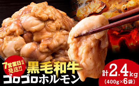 白老産黒毛和牛 味噌焼肉用MIXホルモン 2.4kg (400g×6パック)  7日営業日以内発送 CK012