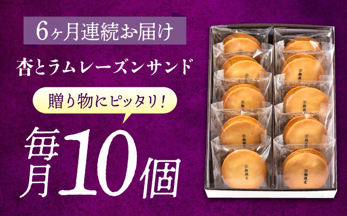 【全6回定期便】 お菓子 杏とラムレーズンサンド 10個入り　お菓子 あんず おやつ 菓子 お茶 レーズン スイーツ 広島県福山市/有限会社勉強堂 [BAFL016]