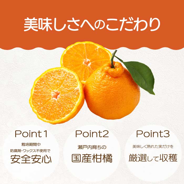 【おくはち農園】〈訳あり〉不知火（しらぬい） 4.5kg 《2027年3～4月発送予定》栽培期間中 防腐剤 ワックス 不使用 旬 柑橘 かんきつ フルーツ 果物 瀬戸内 166010