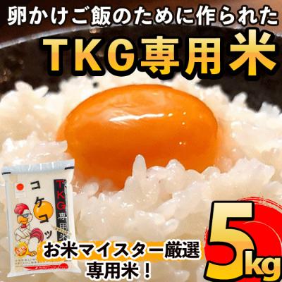 ふるさと納税 霧島市 《令和7年産新米　先行受付中》コケコッコ(TKG専用米)計5kg!【山口米店】　A-153