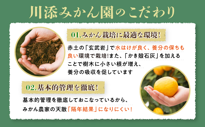 【12月上旬より配送開始☆秀品】石地みかん 約8kg（傷み保証分300g含む）＜川添みかん園＞ [CCT007] みかん