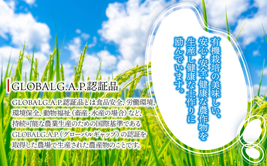 【令和6年産】有機栽培米 つや姫 【玄米】 10kg（5kg×2袋）　山形県鶴岡市産　出羽弥兵衛
