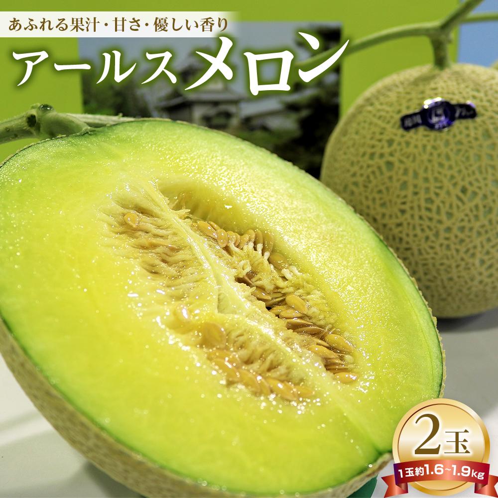 JA金沢市 アールスメロン 2玉