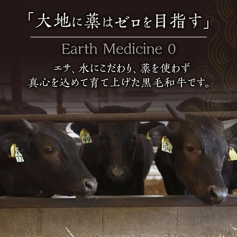 ハンバーグ グリル ハンバーグ[宮崎県産黒毛和牛100%グリルハンバーグ1.5kg 冷凍食品 牛肉]