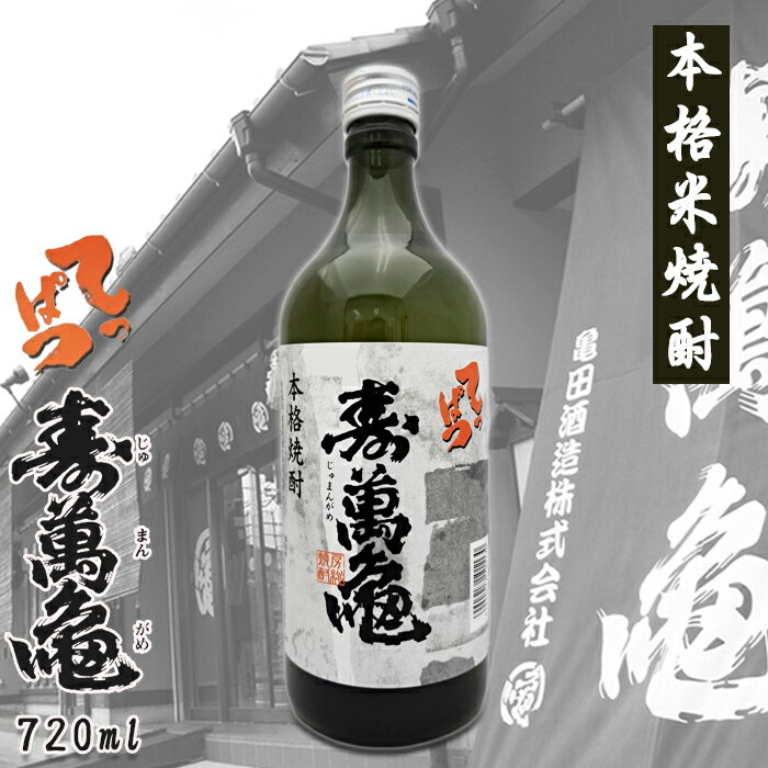 【ふるさと納税】【寿萬亀-亀田酒造-】本格米焼酎『てっぱつ』720ml　[0008-0049]