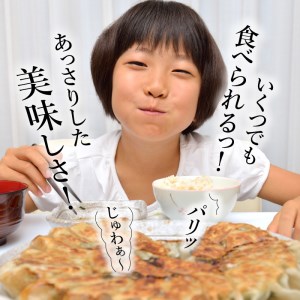 堀久餃子本舗冷凍生餃子10箱パック  幻の餃子 ぎょうざ ギョウザ 冷凍 生餃子 生ギョウザ バームクーヘン豚 藏尾ポーク BH-0006