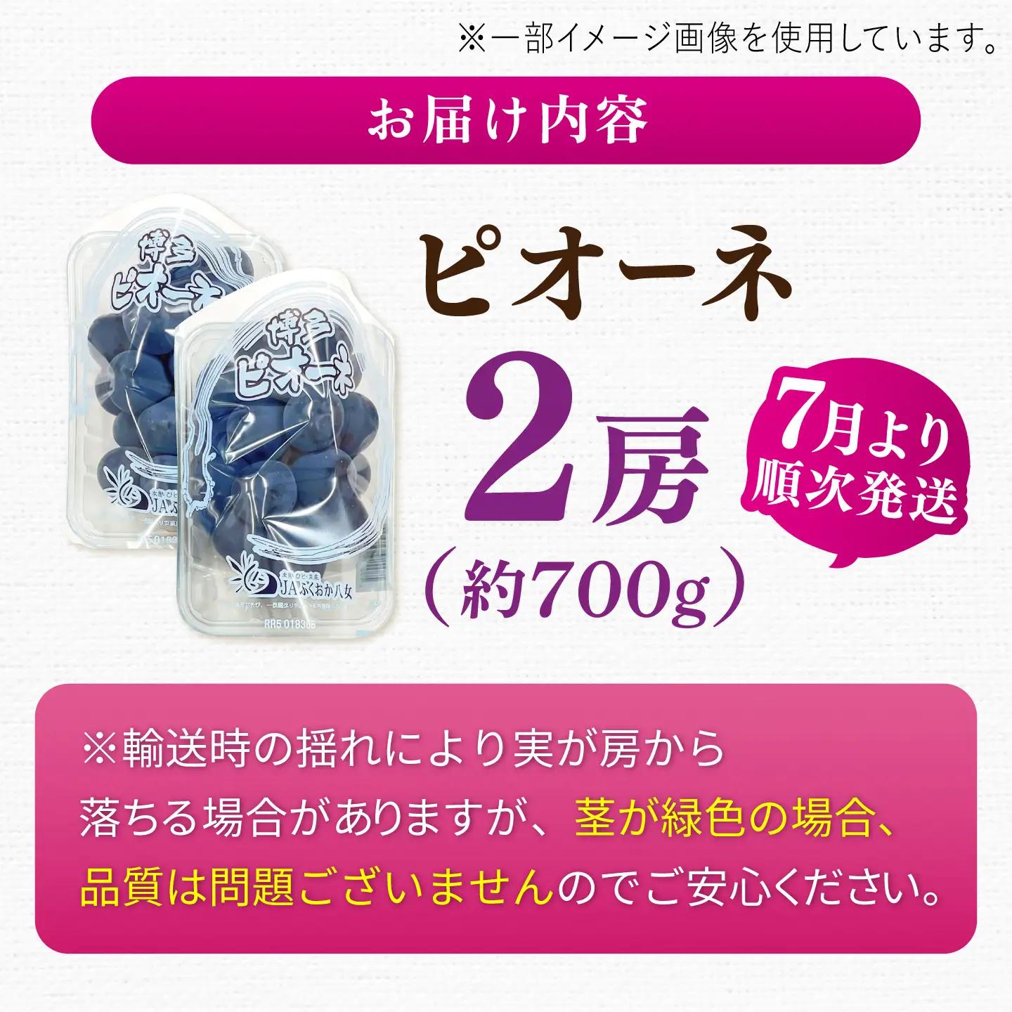 ピオーネ 2パック（約700g） 広川町 / JAふくおか八女農産物直売所どろや[AFAB115]