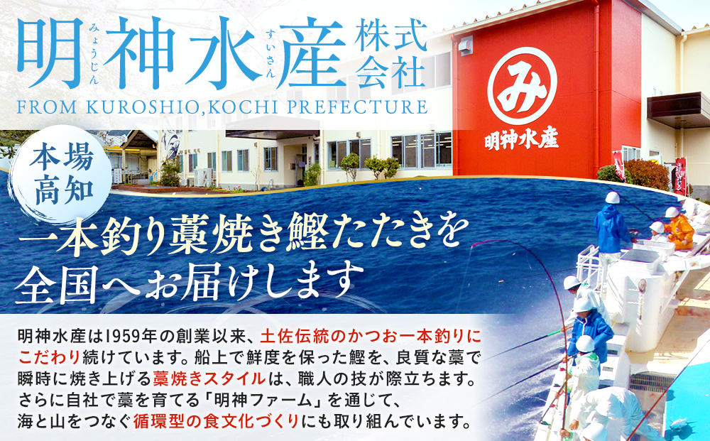 【 3カ月定期便 】かつおのたたき 定期便 3回 各 500g 明神水産 わら焼き 南方鰹 かつおたたき 鰹 カツオ 藁焼き 鰹のたたき 鰹たたき ふるさと納税かつお 故郷納税 魚 さかな 海鮮 刺し