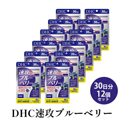 【ふるさと納税】DHC 速攻ブルーベリー 30日分 サプリメント 健康食品 吸収されやすい処方 北欧野生種ビルベリー ビルベリーエキス末 アントシアニン クロセチン ルテイン アサイー パソコン スマホ 運転 静岡県袋井市