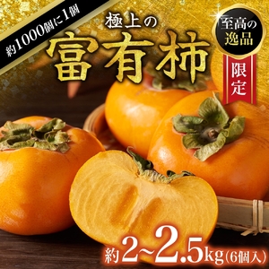 【先行予約】富有柿 2kg～2.5kg 6個入 至高の逸品 約1000個に１個！ 2025年10月下旬～2025年11月下旬頃に順次発送予定（お届け日指定不可）/ 和歌山 柿 かき フルーツ 果物 く