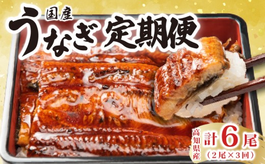 厳選!!高知県産うなぎの蒲焼き(2尾) 3回定期便 うなぎ 蒲焼 高知県産 定期便 うな重 土用丑の日 国産 鰻 贈答品 ギフト 特産品 グルメ ふるさと納税 返礼品 特製タレ 解凍方法 電子レンジ 加熱 旨味 風味 ふんわり 柔らか 職人 手焼き 2尾 170g 180g 3回 安芸市 高知県