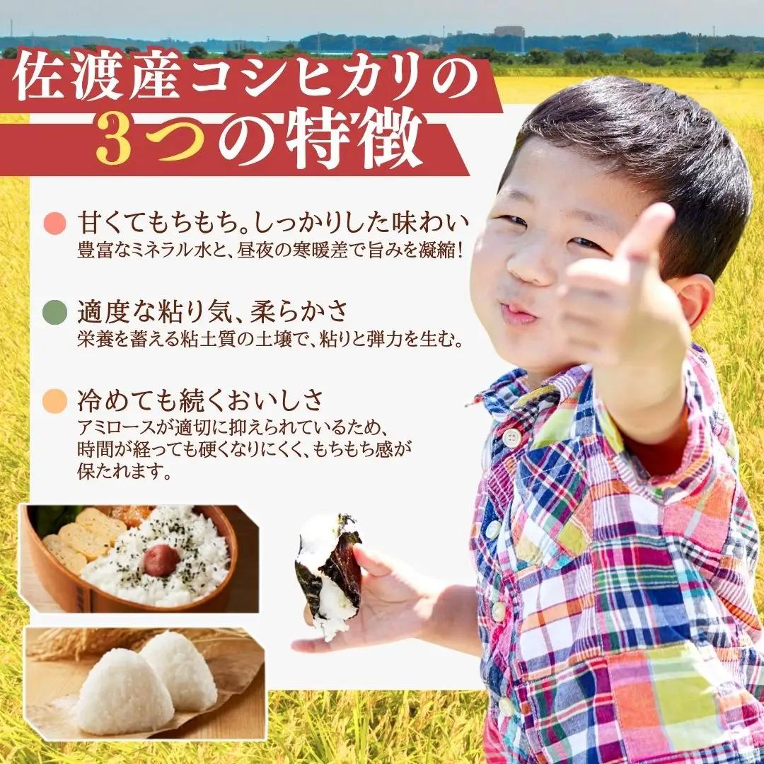 コシヒカリ 10kg (5kg 2袋) 令和7年産 | 新潟県 佐渡市 コシヒカリ