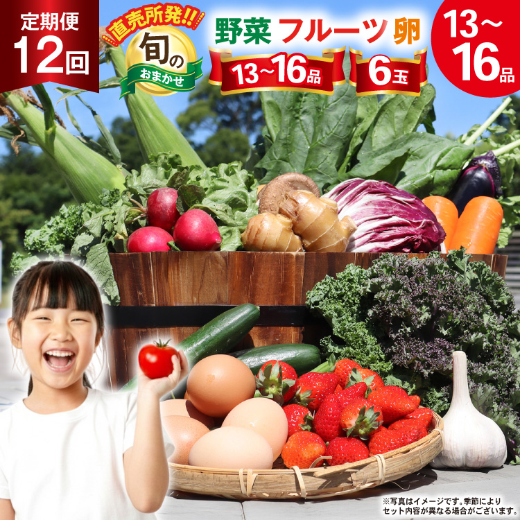 BD038 【12回定期便】 野菜・フルーツ・卵 旬のおまかせセット （野菜･フルーツ13～16種,卵6玉） [ 野菜セット 野菜 フルーツ 果物 たまご 鶏卵 産地直送 厳選 長崎県 島原市 送料無料]