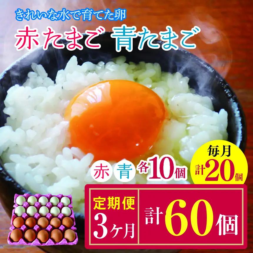 【3回定期便】きれいな水で育てた卵 赤たまご （ アローカナ ）ミックス 各10個 計20個  | 保坂農場