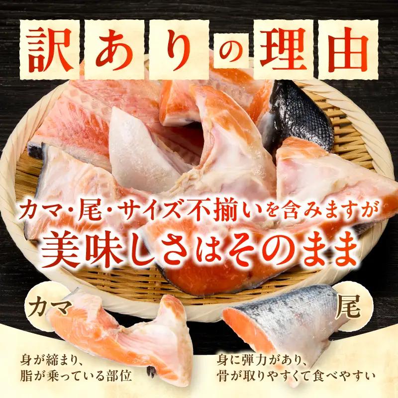 a20-490　厚切りカット！ 訳あり 銀鮭 切身 約2.4kg