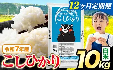 【12ヶ月定期便】白米 こしひかり 10kg