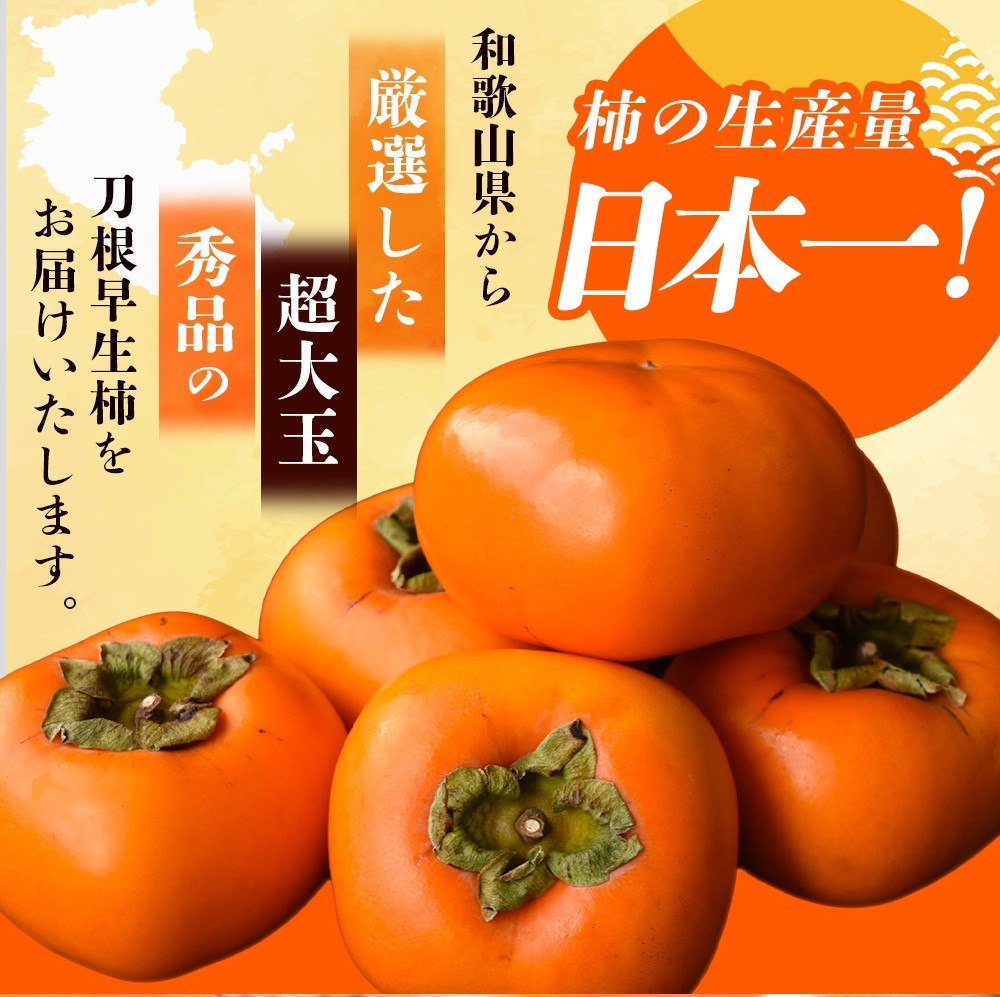 【2026年先行予約】種無し柿 早生刀根柿 1.8kg 2026年9月下旬～10月下旬頃に順次発送予定（お届け日指定不可）/ 和歌山 柿 かき フルーツ 果物 くだもの 刀根 種無し【kgr003A】