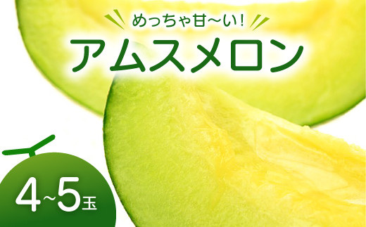 B-999 めっちゃ甘いアムスメロン4～5玉