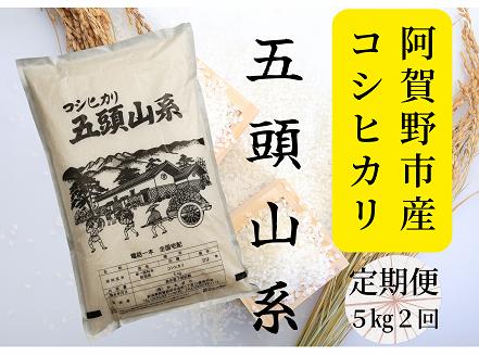 【令和7年産】【2回定期便】「五頭山系」米屋のこだわり阿賀野市産 コシヒカリ５kg×２回 9月下旬より順次新米へ変更 1E05021