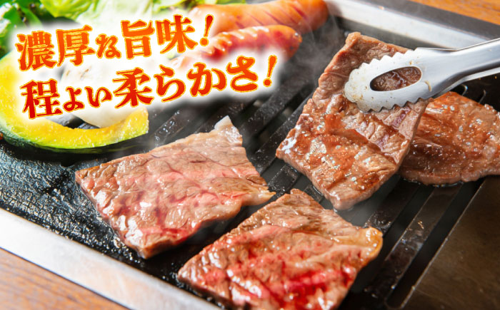 【全12回定期便】熊本あか牛 焼肉用カット(バラ ロース) 約500g / 熊本県 あか牛 あかうし 和牛 焼肉 ロース バラ 牛肉 お肉 褐毛和種 冷凍 国産【五右衛門フーズ】 [BHCY048]