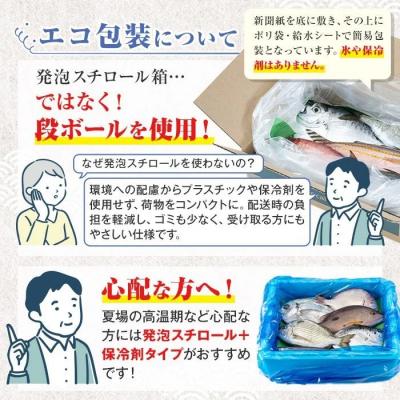 ふるさと納税 肝付町 漁師厳選!ロコフィッシュ(地魚) 下処理済 鮮魚 ボックス(約2~3kg)　A78003 |  | 02