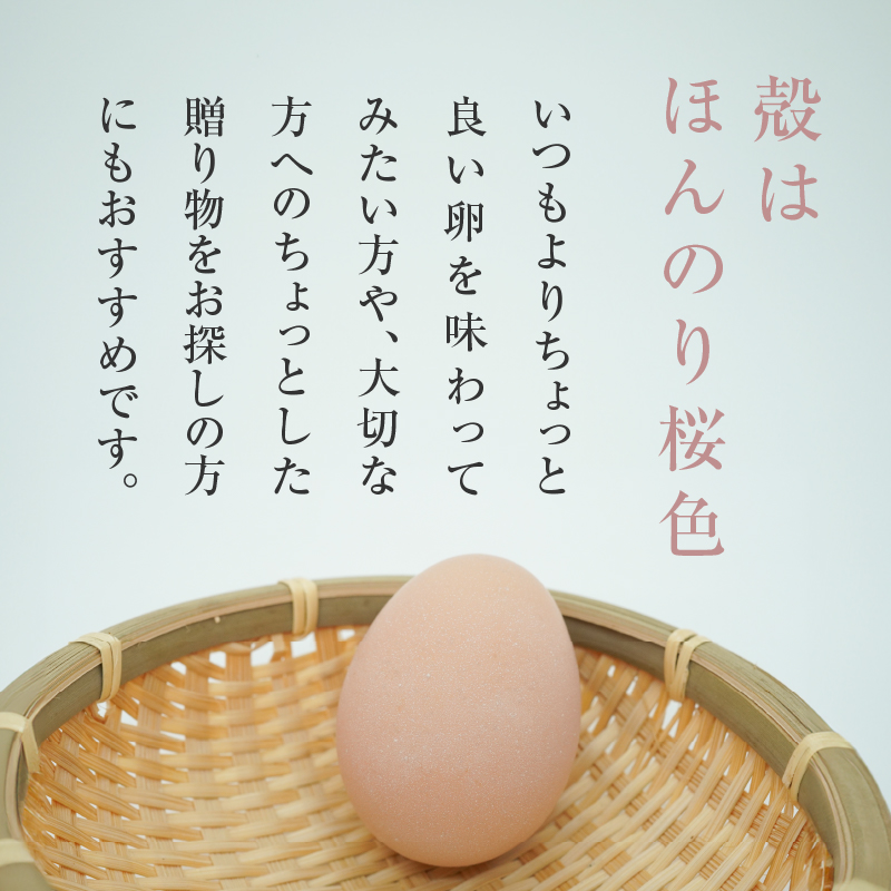 【医師監修】野菜を食べて育った平飼いの卵「名古屋コーチン ベジたま」（30個入り）