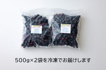ブルーベリー 冷凍 500g × 2袋 1kg [農林産物直売所 美郷ノ蔵 宮崎県 美郷町 31ab0135] 国産 手摘み 小分け ヨーグルト 宮崎県産 おやつ お菓子 朝ごはん 朝ご飯