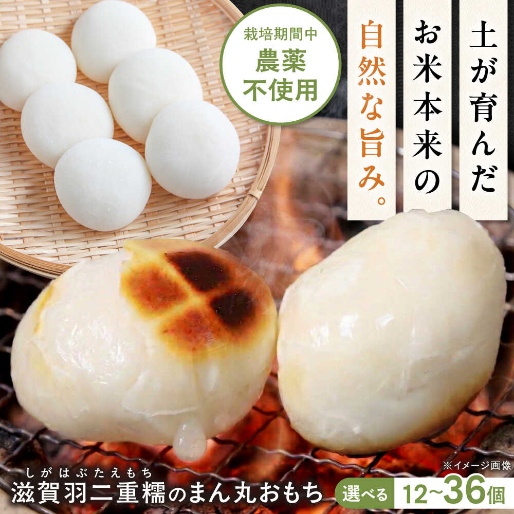 【ふるさと納税】【選べる容量】丸もち 滋賀羽二重糯のまん丸おもち 12～36個 丸餅 餅 モチ もち おもち 焼き餅 羽二重糯 食品 食べ物 人気 おすすめ 滋賀県長浜市/そふぁら[AQEC001]