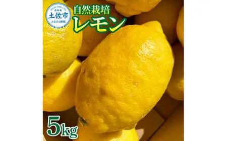 【先行予約】自然栽培レモン 5kg 〈2026年10月中旬頃-2027年4月30日発送〉5キロ【有限会社四万十くじら】 [BQBR005]