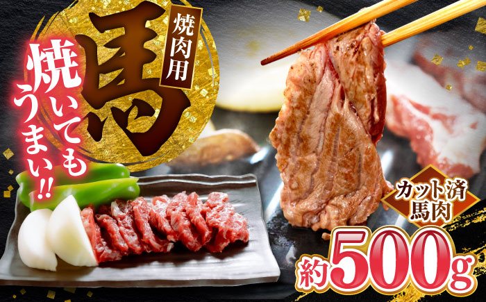 
            馬肉 焼肉用500g カット済 馬肉 熊本 焼き肉 馬焼き 【山都町（桜屋）】 [YBW124]
          