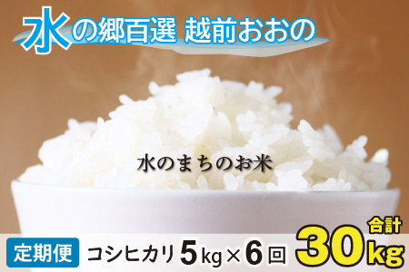 【令和7年産】【6ヶ月定期便】こしひかり 5kg×6回 計30kg【白米】「エコファーマー米」水のまちのお米 [D-003004]
