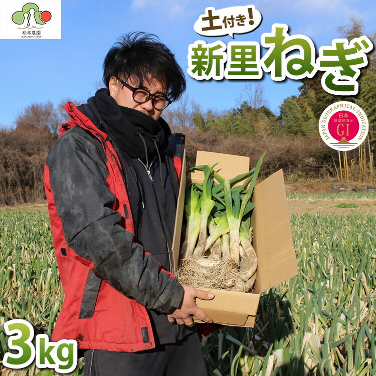 【ふるさと納税】【GI産品】『新里ねぎ』 GIマーク取得のブランド伝統野菜 土付き 3kg