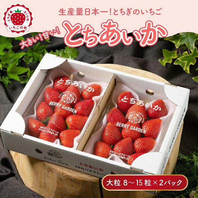 【ふるさと納税】いちご 甘さ際立つ新品種 『とちあいか』 大粒 8～15粒×2パック 58ロハスファーム【58ロハスクラブ】 ｜いちご イチゴ 苺 先行予約 栃木県 さくら市 果物 くだもの フルーツ とちあいか 新鮮 贈答 ギフト 大粒 ※2027年1月～発送