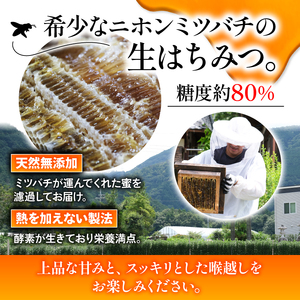 はちみつ 70g 無添加 非加熱 ハチミツ 希少 日本ミツバチ