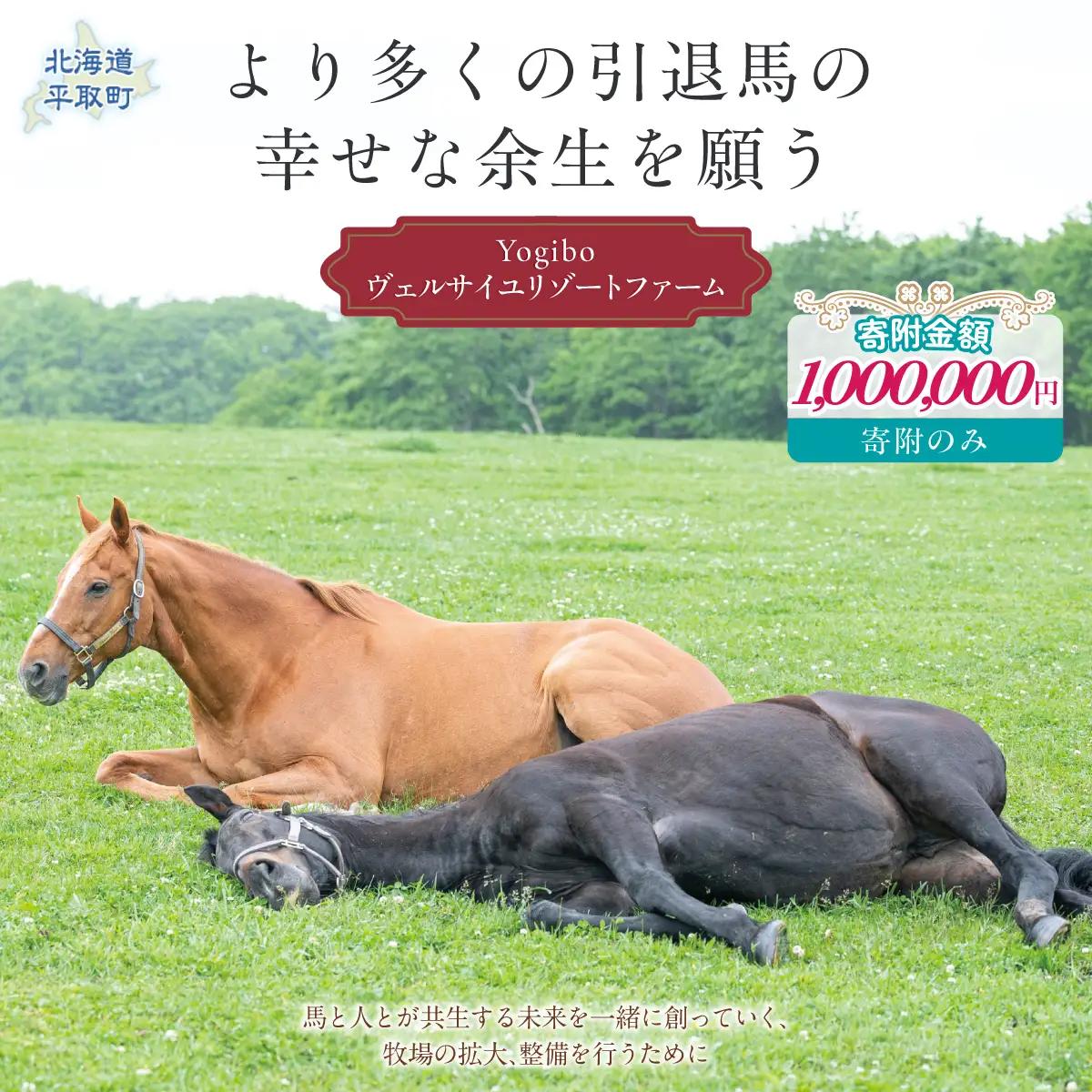 【100万円コース 返礼品無し】より多くの引退馬の幸せな余生を願う　Yogiboヴェルサイユリゾートファーム BRTV024-06