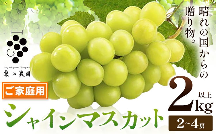 
            【2026年発送先行予約】シャインマスカット ご家庭用 晴れの国からの贈り物 シャインマスカット 2kg 以上 2房 ～ 4房《2026年9月上旬-10月中旬頃出荷》 東山農園 ブドウ 葡萄 マスカット 果物 フルーツ ギフト 岡山県 笠岡市
          