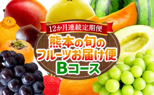 【12か月連続定期便】熊本の旬のフルーツお届け便 （Bコース） フルーツ 果物 くだもの 晩白柚 苺 デコポン みかん 柑橘 蜜柑 メロン すいか シャインマスカット 葡萄 ぶどう マンゴー 太秋柿 