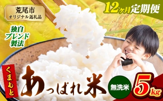 【12ヶ月定期便】熊本県産 くまもとあっぱれ米 ブレンド米 5kg 熊本県産 ふるさと納税 無洗米 精米 米 こめ ふるさとのうぜい コメ お米 おこめ《お申込み翌月から出荷》