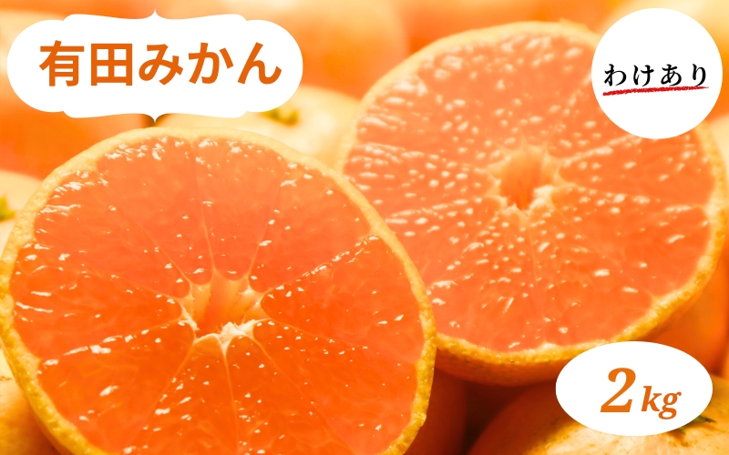 和歌山県産 有田みかん 2kg 訳あり【ミカン 有田みかん 和歌山 有田 訳あり】 ※2026年10月中旬～2027年1月中旬頃に順次発送予定【smt004A】