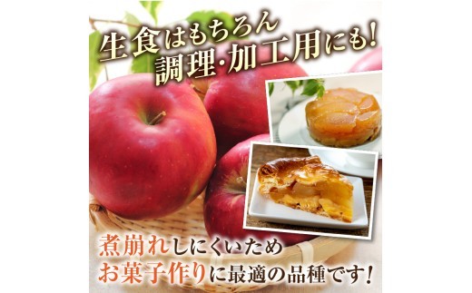 ≪先行受付≫紅玉りんご5kg 18個～25個 特秀【2026年10月下旬～順次発送予定】